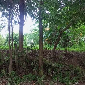 8383 m² RESIDENTIAL FARM LOT, Talisay, Batangas, Philippines