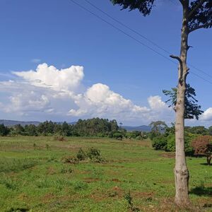 Lakefront Land Touching Lake Victoria In Bwerenga Uganda