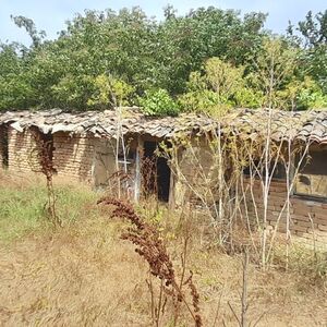 An old house with a plot of land of 3215 sq.m