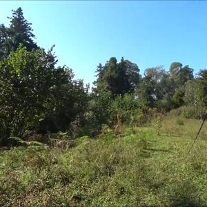 The plot of land 