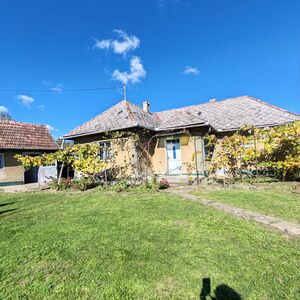 TRADITIONAL HOUSE