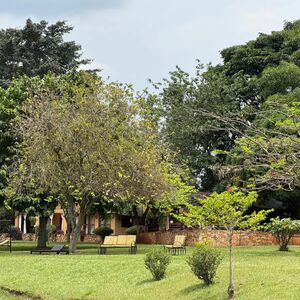 Riverfront Resort For Sale Along River Nile Jinja Uganda