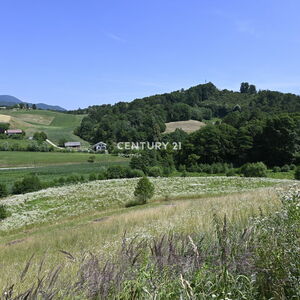 Opportunity to buy larger land for cultivation