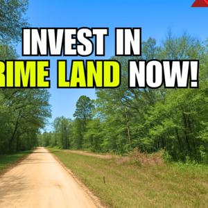 Get 3 Adjacent 0.65 Acre Florida Lots for Only $50 – Hurry!