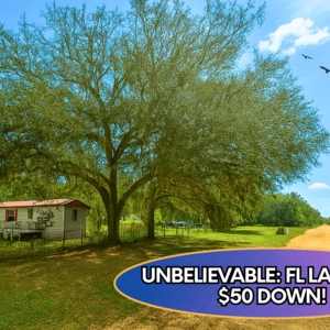 $50 Down for 0.22 Acre RARE Land in Florida?! 
