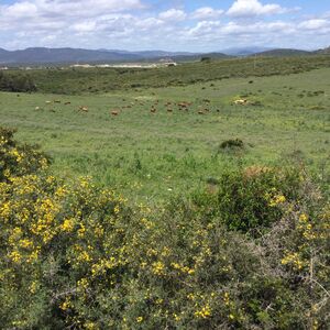 200 hectares rural land