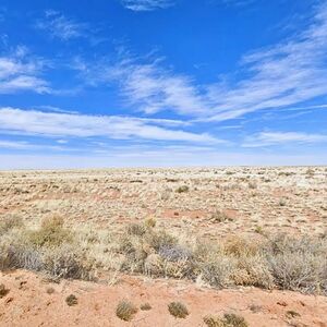 Residential Land for Sale in Holbrook, Arizona