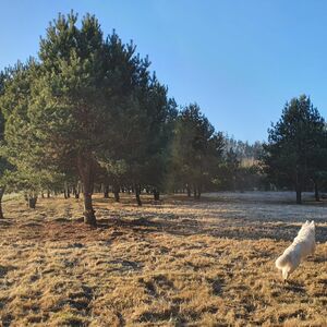 A unique opportunity: Stone River 1.28 ha JURA PARK