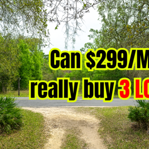 Get 3 Adjacent 0.65 Acre Florida Lots for Only $50 – Hurry!