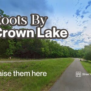 $98 Gets You 0.37 Acre Land Near the Lake Click to Own It