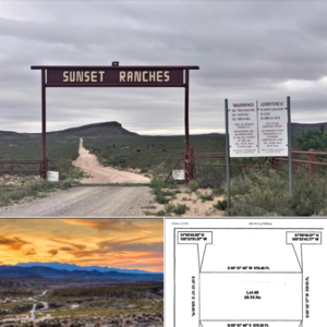 The Texas Horseshoe