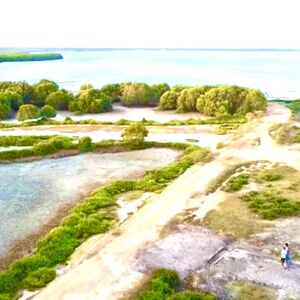 Kalpitiya Lagoon front land available for sale 