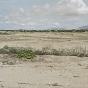 For Sale: 500 Has - Land Plot in Chiclayo Province.