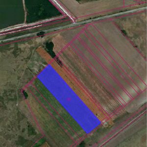 Agricultural land for sale - Zabalj