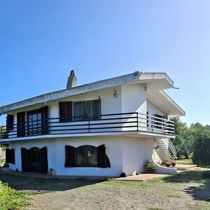 Villa with olive grove in Pabillonis, Sardinia