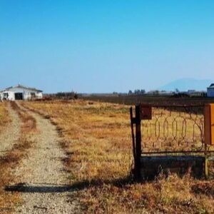 Poultry farm for sale or rent