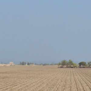 For Sale: 5 Has Commercial land / Industrial Land in Chancay