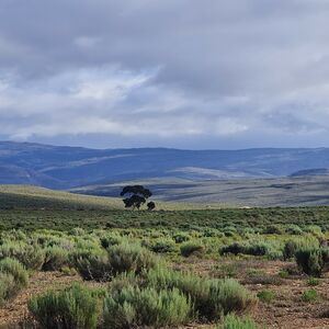 On Top Of The World (641)