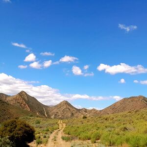 Natural Beginnings (642)