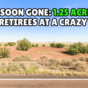 Your Own 1.25 Acres in AZ: Just $47/Down to Start! BUY NOW