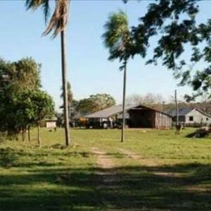 Agricultural/Livestock Farm 8253 ha in Alto Vera/ Itapu