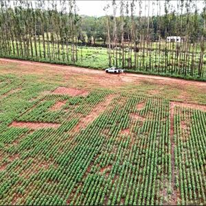 Ranch 1000has. San Pedro Department