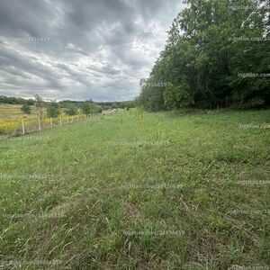 Fenced plot for sale with electricity and drilled well