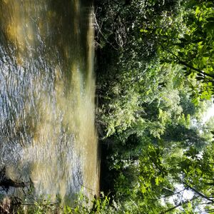 50-Acre Farmland Property with All-Weather Creek in Frank&rsquo;s 