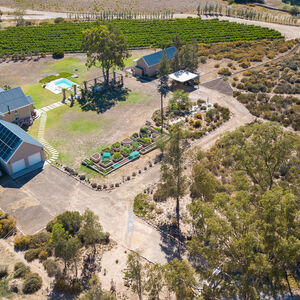 For The Connoisseur (647)