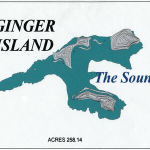 Ginger island - For Sale