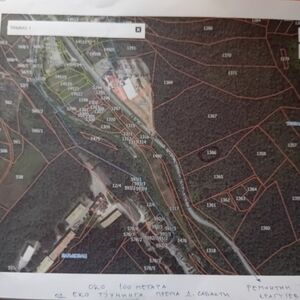 I am selling land with young forest