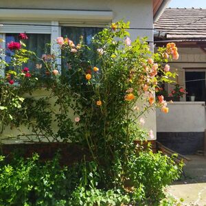 House in Hungary to sell