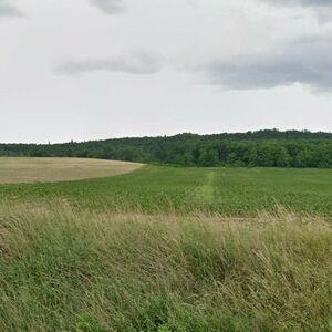 Residential Development Land for Sale near Budapest &ndash; Isasze