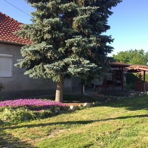 excellent 4bed family home from owner