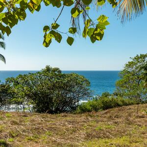 Introducing an extraordinary ocean front lot!