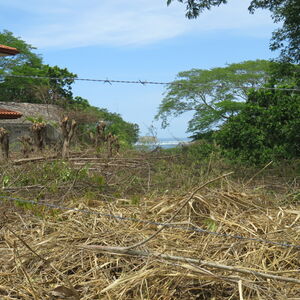 Exclusive! This lovely &ldquo;lot of love&rdquo; with ocean view