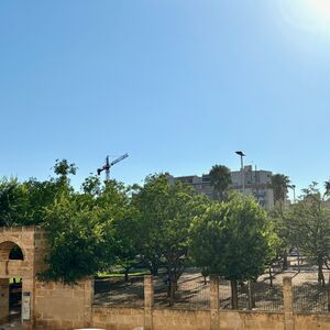  Bright and renovated apartment in Nou Llevant 