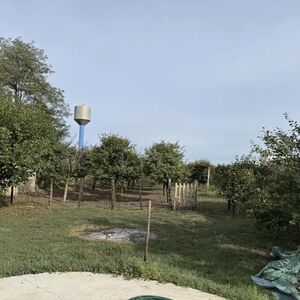 House with orchards Sombor-Čonoplja