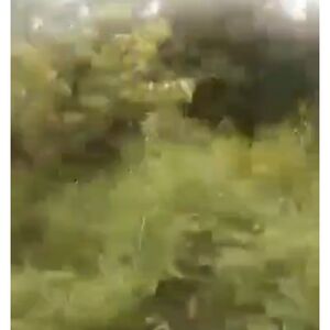 For rent farm lot in loreto, Agusan del sur, Philippines 