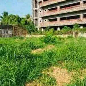 For sale farm lot in Davao del Norte, Philippines 