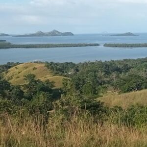 For sale beach lot in Bohol, Philippines 