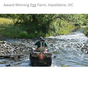 For sale farm lot and egg business in Australia 