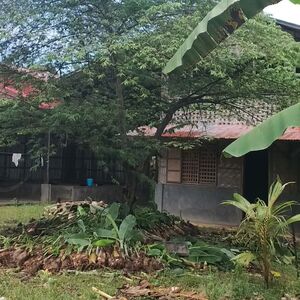 Farm lot in Sta. Filomena, Asuncion, Davao del Norte 