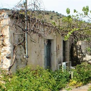  Stone House for Renovation. Garden - East Crete
