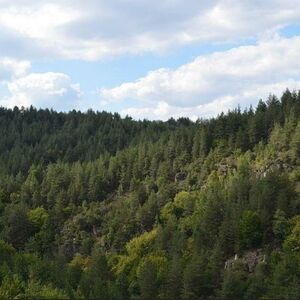 Exclusive Investment Opportunity &ndash; Lakeview Development Plot