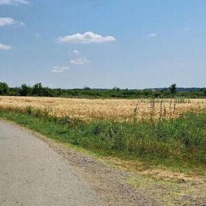 Land Barajevo-Veliki Borak