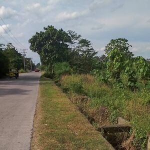 Farm lot in panabo city 