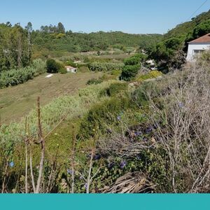 Land Plot with Approved Project for 4 T2 Houses &ndash; Vimeiro Th