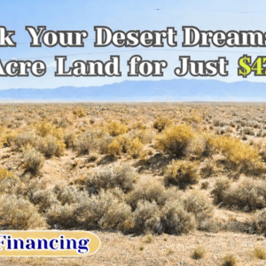 Buildable 0.90 Acre (Almost 1 Acre) Lot &ndash; $47 Down