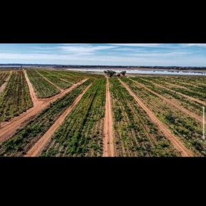 For sale farm lot in Australia 